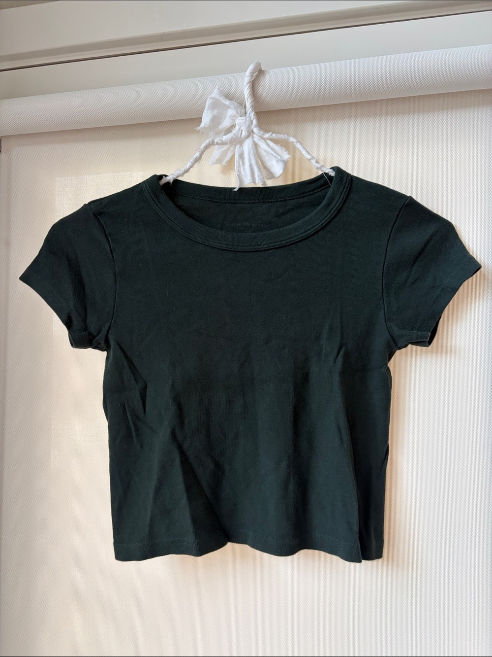 Brandy Melville Green Cropped Baby Tee